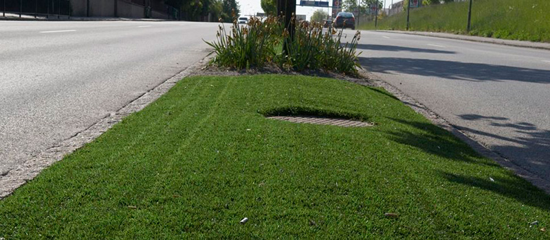 artificial turf landscaping