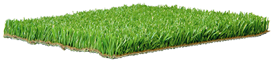 unisport saltex active